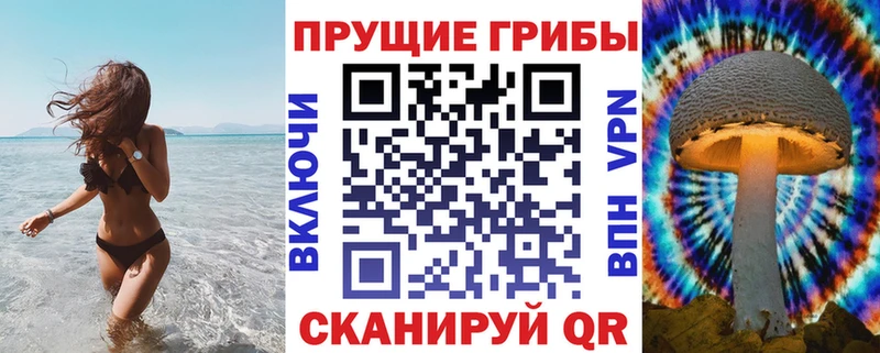 Псилоцибиновые грибы Cubensis  Купить где  Мостовской 